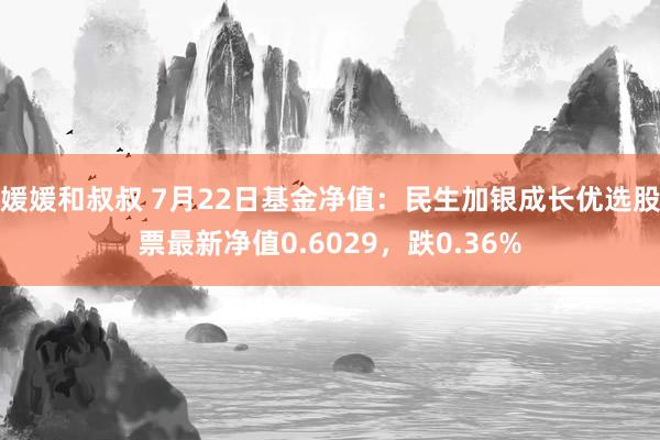 媛媛和叔叔 7月22日基金净值：民生加银成长优选股票最新净值0.6029，跌0.36%