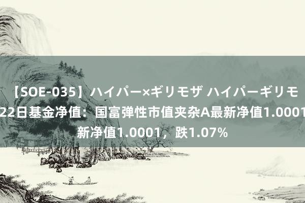 【SOE-035】ハイパー×ギリモザ ハイパーギリモザ Ami 7月22日基金净值：国富弹性市值夹杂A最新净值1.0001，跌1.07%