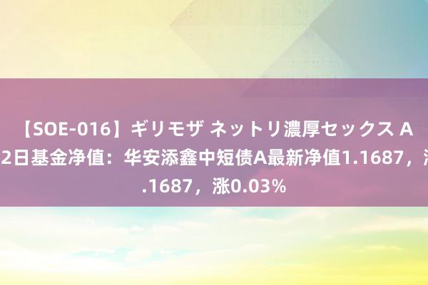 【SOE-016】ギリモザ ネットリ濃厚セックス Ami 7月22日基金净值：华安添鑫中短债A最新净值1.1687，涨0.03%