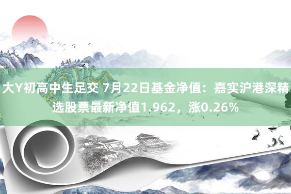 大Y初高中生足交 7月22日基金净值：嘉实沪港深精选股票最新净值1.962，涨0.26%