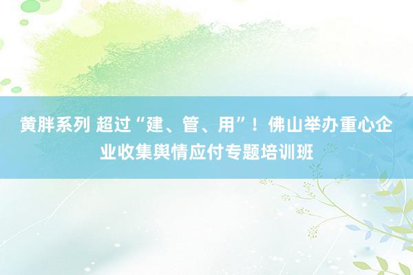 黄胖系列 超过“建、管、用”！佛山举办重心企业收集舆情应付专题培训班