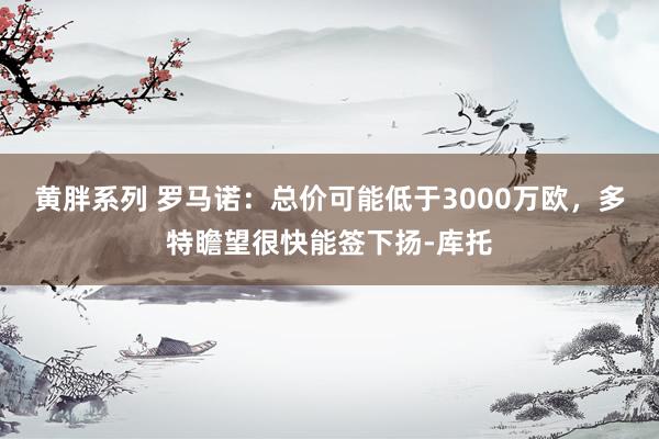 黄胖系列 罗马诺：总价可能低于3000万欧，多特瞻望很快能签下扬-库托