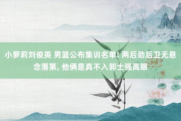 小萝莉刘俊英 男篮公布集训名单! 两后劲后卫无悬念落第, 他俩是真不入郭士强高眼