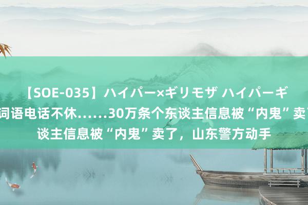 【SOE-035】ハイパー×ギリモザ ハイパーギリモザ Ami 参差词语电话不休……30万条个东谈主信息被“内鬼”卖了，山东警方动手