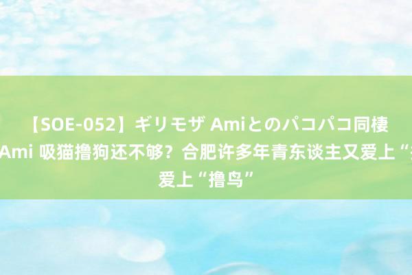 【SOE-052】ギリモザ Amiとのパコパコ同棲生活 Ami 吸猫撸狗还不够？合肥许多年青东谈主又爱上“撸鸟”