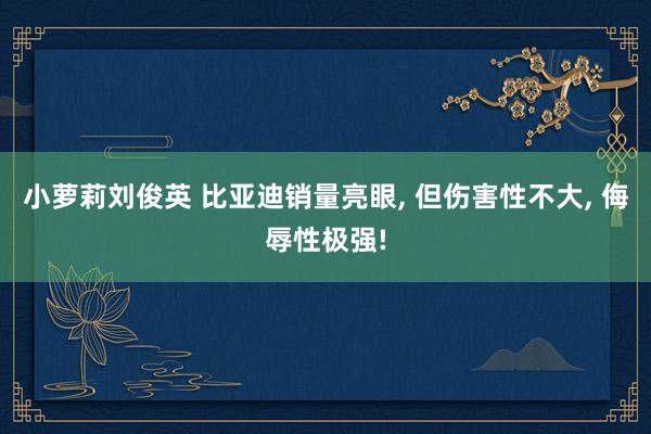 小萝莉刘俊英 比亚迪销量亮眼, 但伤害性不大, 侮辱性极强!